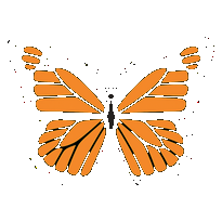 monarch butterfly
